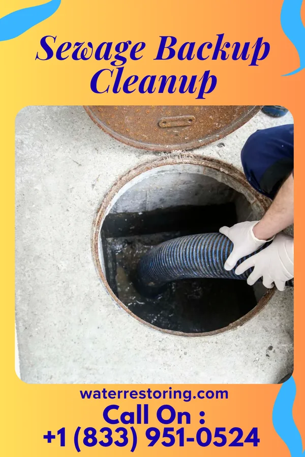 Sewage Backup Cleanup in McLean, NE